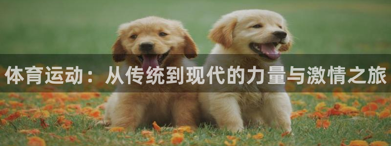 德国利记官方正版app集团：体育运动：从传统到现代的力量与激