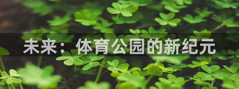 利记官方正版app开户：未来：体育公园的新纪元