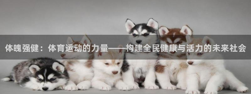 利记官方正版app官网：体魄强健：体育运动的力量——