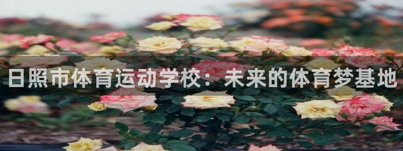 利记官网下载招商电话地址：日照市体育运动学校：未来的
