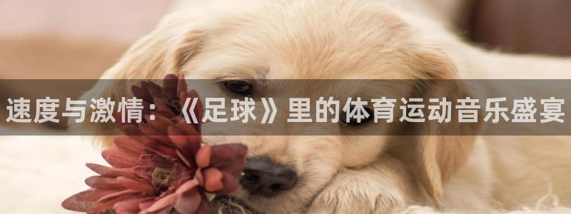 利记官网下载联系电话：速度与激情：《足球》里的体育运