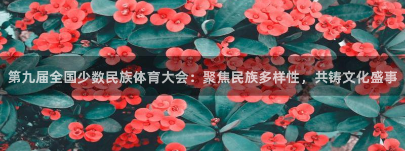 利记官网下载平台APP：第九届全国少数民族体育大会：