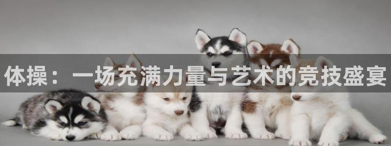 利记官网下载软件：体操：一场充满力量与艺术的竞技盛宴
