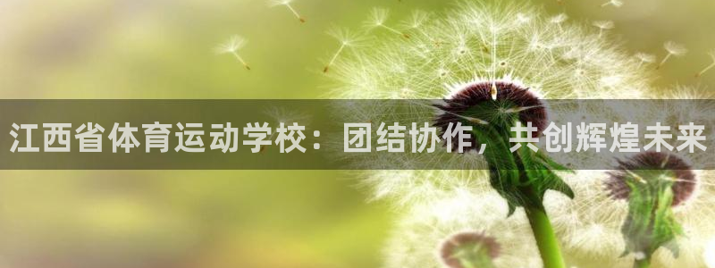 利记官网下载平台注册要钱吗：江西省体育运动学校：团结协作，共