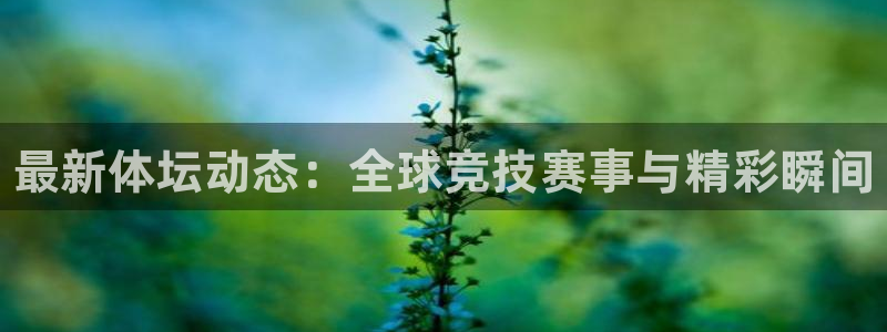 利记官网下载平台APP：最新体坛动态：全球竞技赛事与精彩瞬间