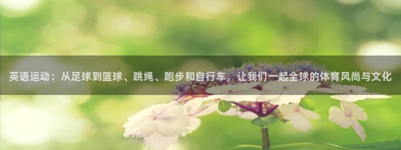 利记官网下载平台假的吗是真的吗：英语运动：从足球到篮
