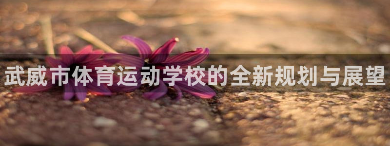 德国利记官方正版app集团：武威市体育运动学校的全新规划与展