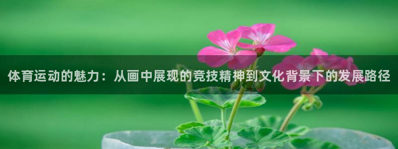 利记官网下载平台是正规平台吗安全吗：体育运动的魅力：