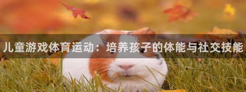 利记官方正版app新能源：儿童游戏体育运动：培养孩子的体能与