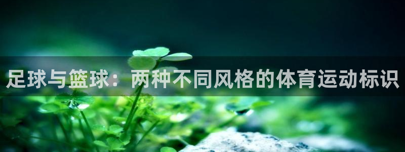 利记官方正版app科技：足球与篮球：两种不同风格的体