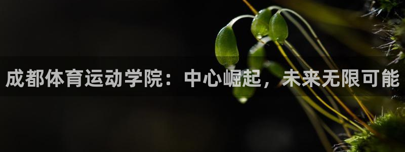 利记官方正版app集团官网网址