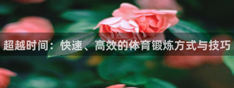 利记官网下载平台是正规平台吗：超越时间：快速、高效的体育锻炼