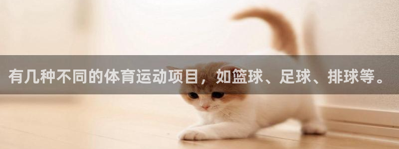 利记官网下载平台注册流程视频：有几种不同的体育运动项