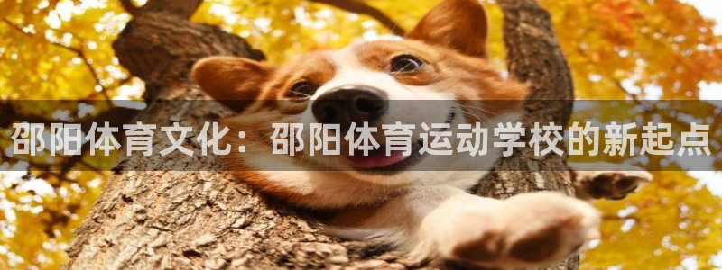 利记官网下载招商电话号码