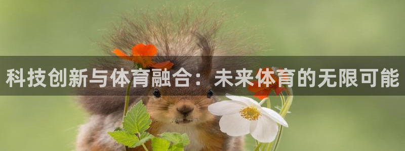 利记官方正版app娱乐首页网站大全