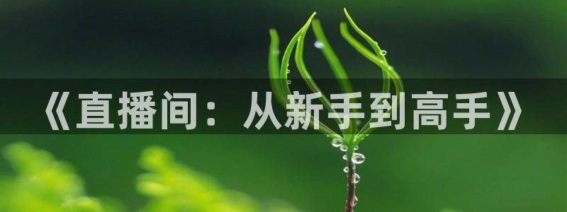 新球网直播：《直播间：从新手到高手》