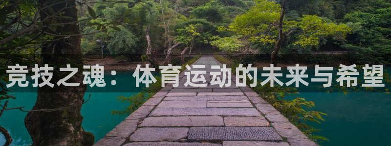 利记官网下载平台注册流程图：竞技之魂：体育运动的未来与希望