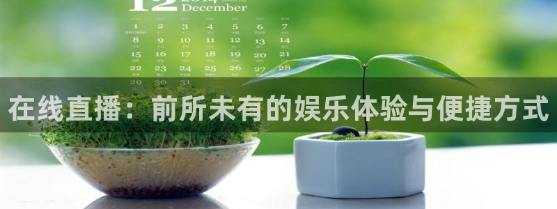 新球赛直播