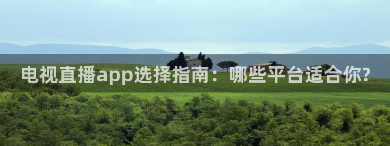 新球体育赛事