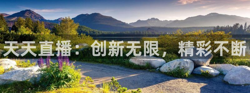 新球体育比分网：天天直播：创新无限，精彩不断