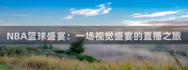 新球足球直播：NBA篮球盛宴：一场视觉盛宴的直播之旅